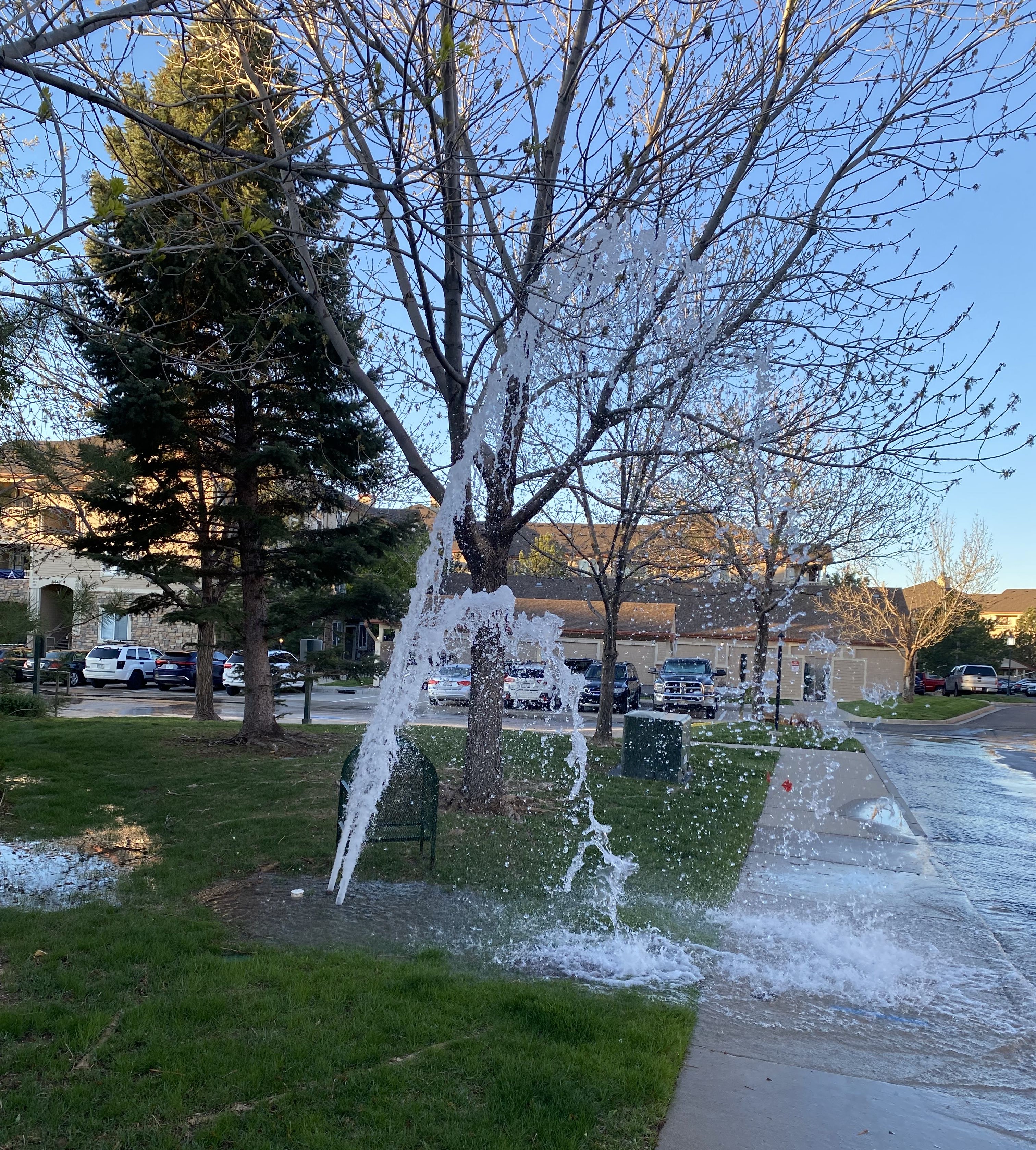 Stream of water shooting out of a broken backflow in grass near the sidewalk.