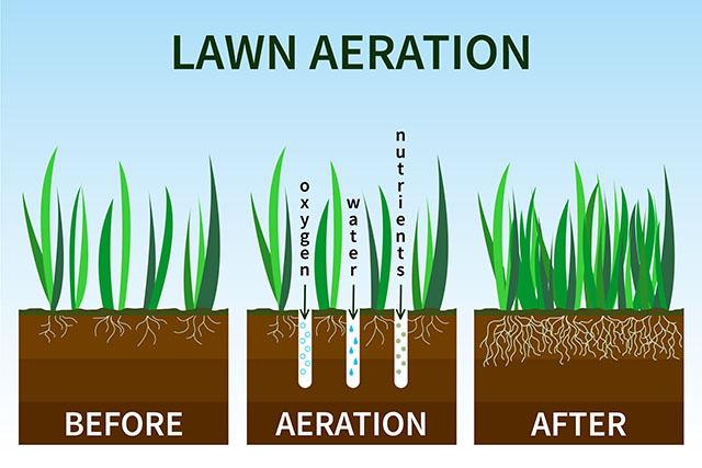 Lawn Aeration Chart