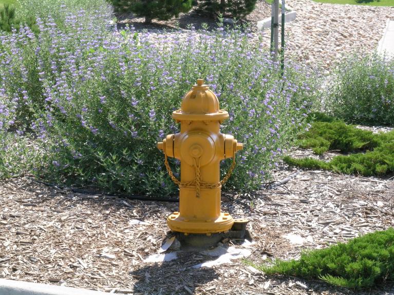 Fire Hydrant with clearance 