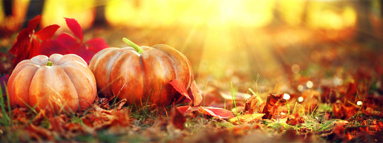 Pumpkins and fall leaves. 