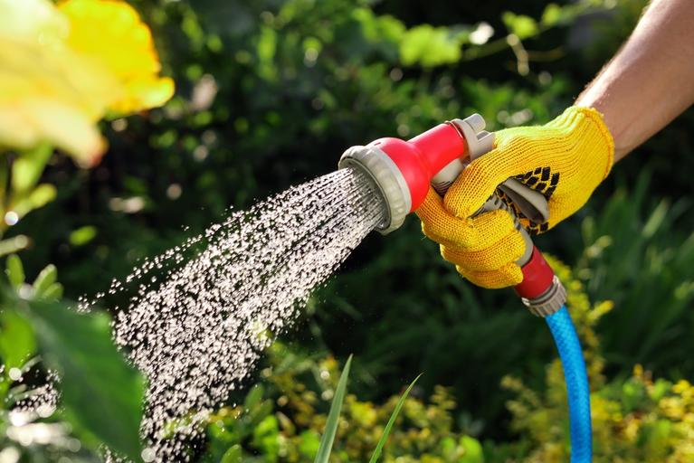 Someone hand watering a garden. 