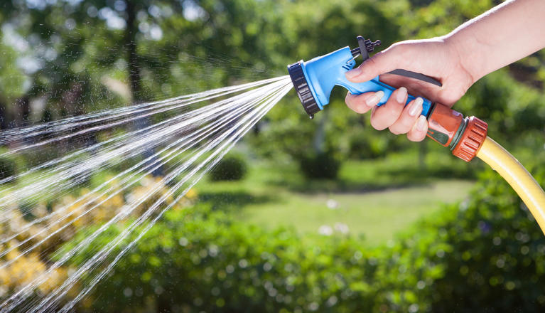 Water spraying from a blue hand held sprinkler.
