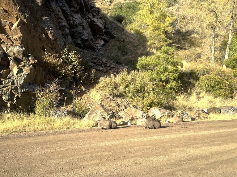 Waterton Canyon road.